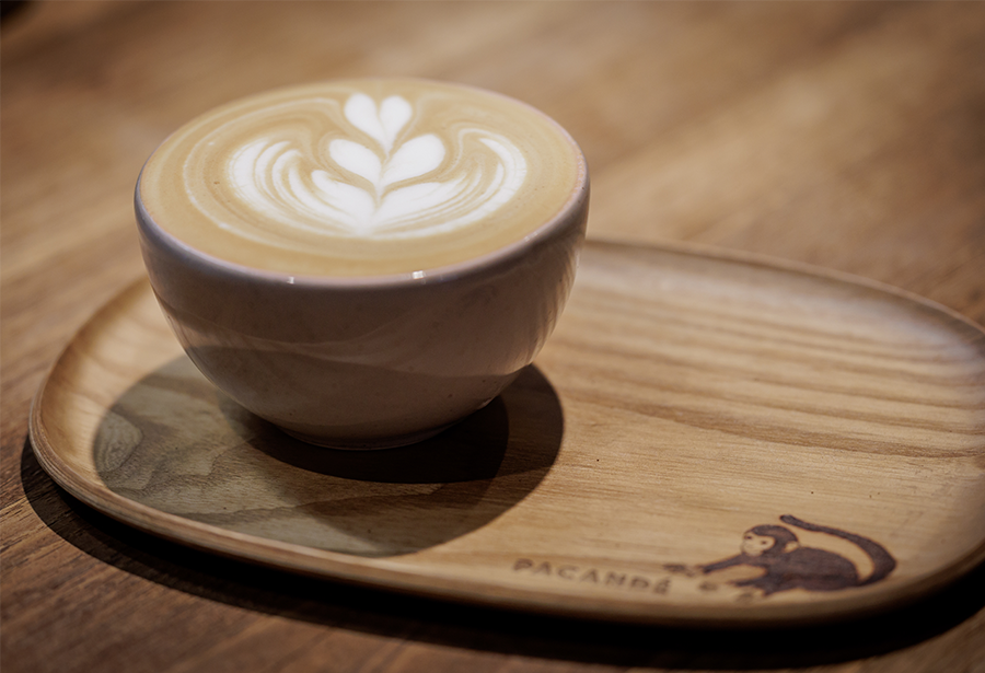 Professional coffee grinder with freshly ground coffee